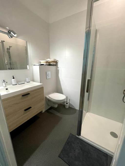 Superbe Appartement Cosy Avec Jardin Nîmes Eksteriør bilde